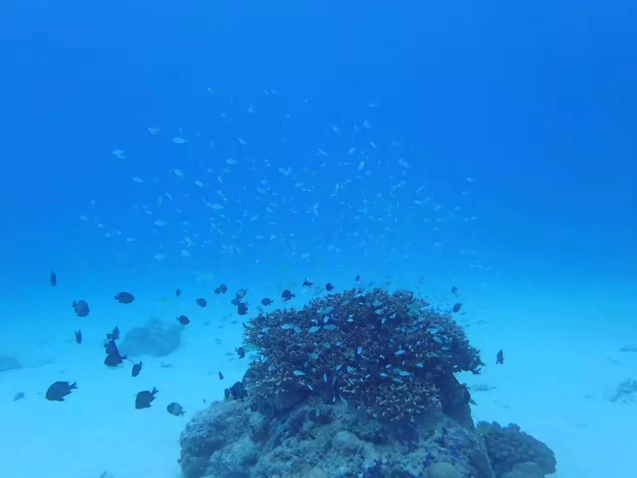 weekendescape,weekendescape什么意思