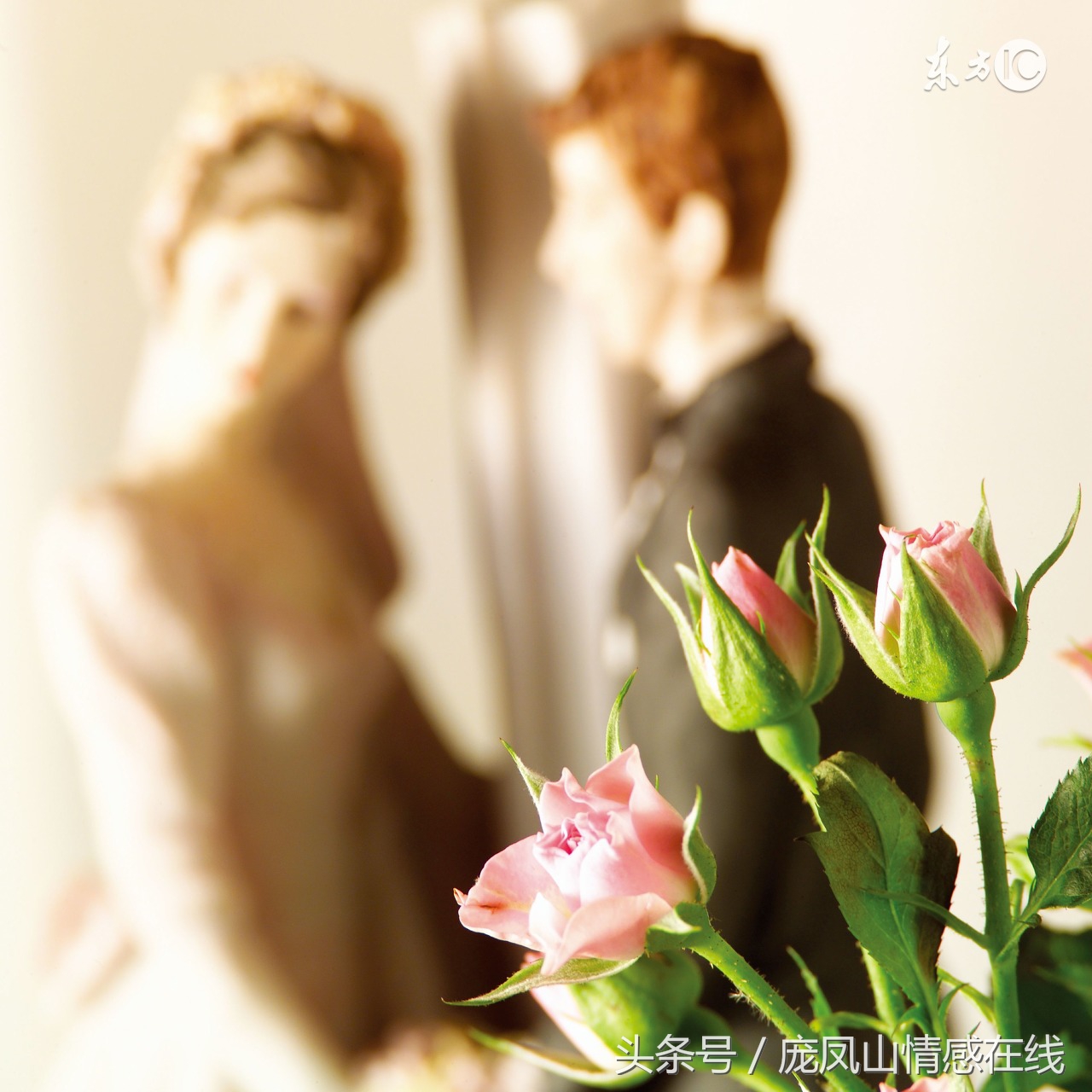 女人唯一错的就是嫁错男人,女人嫁错男人毁一生