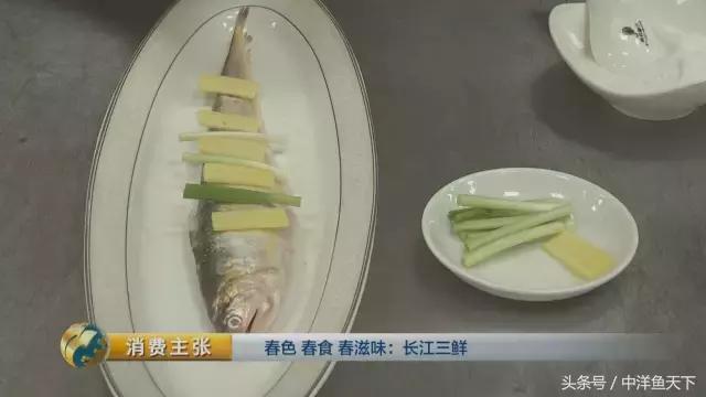 鲥鱼和刀鱼的鲜美,刀鱼鲥鱼河豚被称为长江三鲜