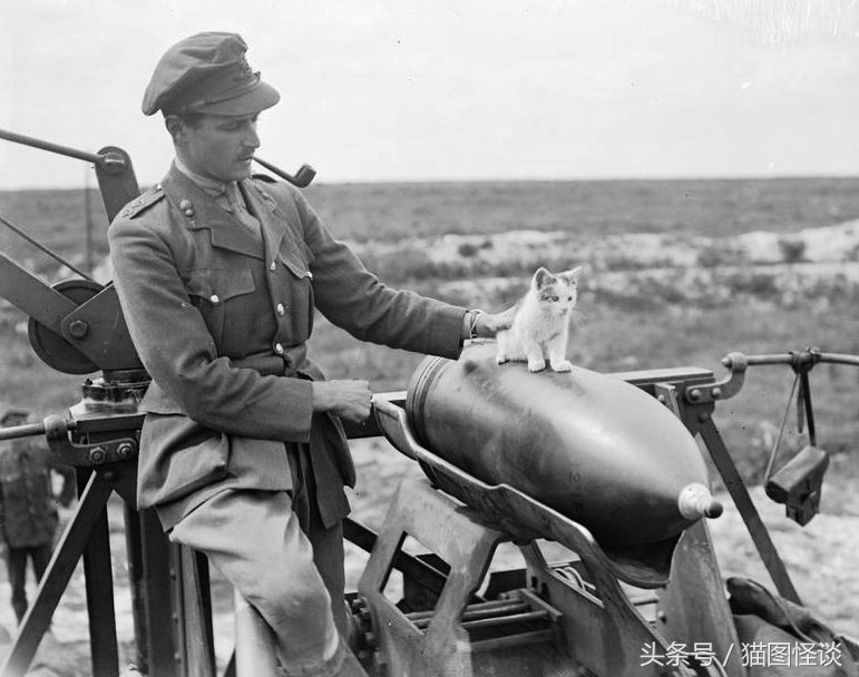 盘点不同国家的士兵吃的东西,各个国家士兵吃的伙食是最好的