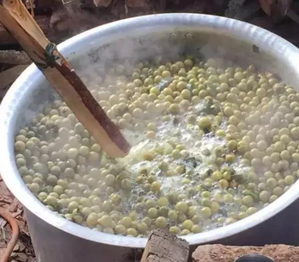 尼泊尔凤眼菩提0.8-0.9,尼泊尔凤眼菩提怎么清洗