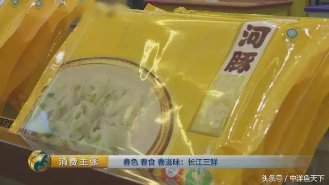 鲥鱼和刀鱼的鲜美,刀鱼鲥鱼河豚被称为长江三鲜