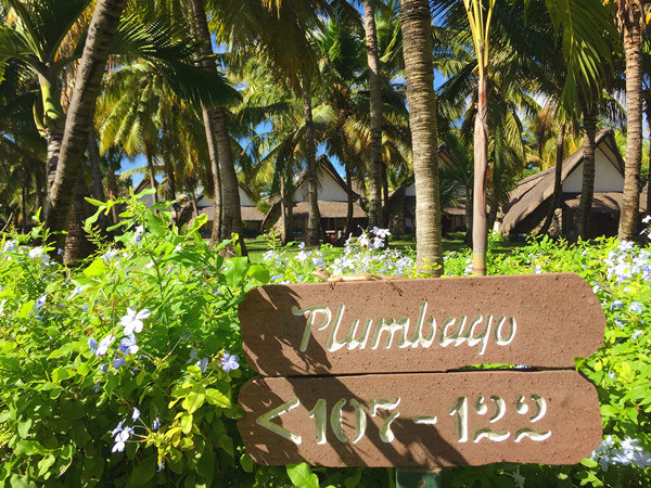 穷游毛里求斯,毛里求斯自由行穷游攻略