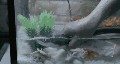 对于*力暴**冷血的逼债人，这是世界上最残忍最虐心的惩罚