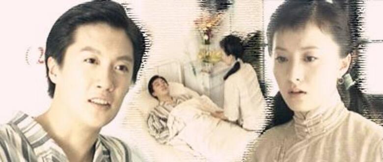 陈坤舒畅刘亦菲,陈坤舒畅