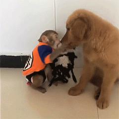 碰上这柔情似水的小护士打针！再疼我也不叫！