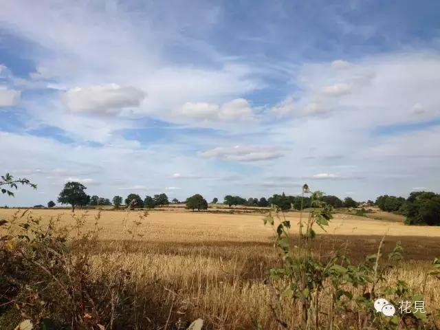 当90后都在为生活奔波还房贷，她却选择去法国农场铲马粪