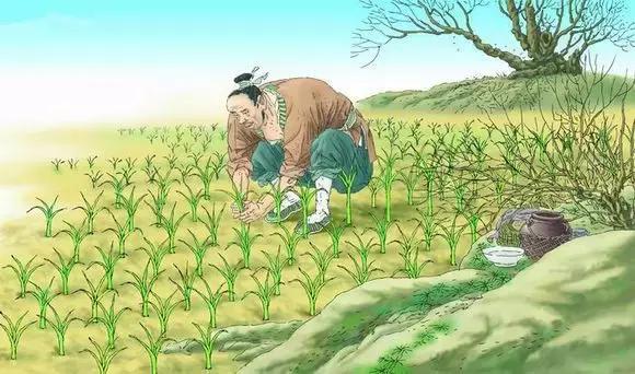 岳阳记忆，8090后经典小学课本插画，你还能认出几个？