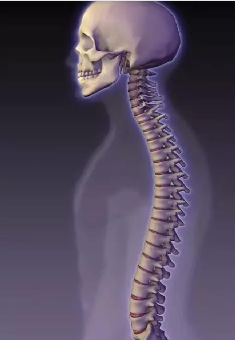 玩手机颈椎保护神器儿童,儿童玩手机颈椎弯曲如何康复