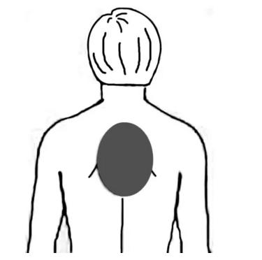 名中医王清海：警惕隐性冠心病预警信号，切勿忽视这些部位的疼痛