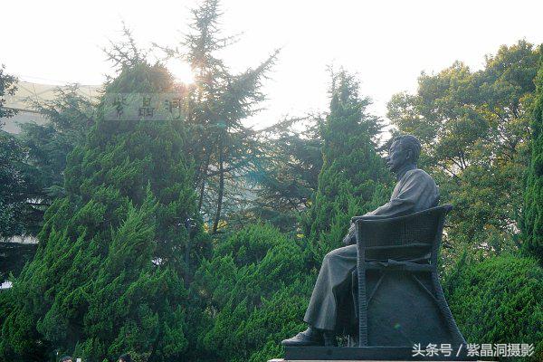 上海看樱花公园,上海看樱花去同济大学