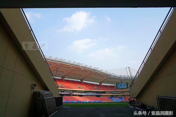 上海看樱花公园,上海看樱花去同济大学