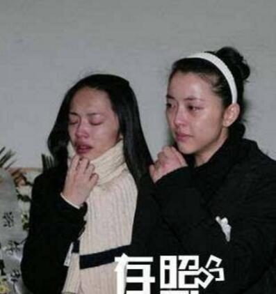 陈坤舒畅刘亦菲,陈坤舒畅