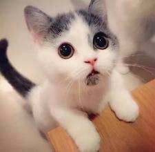 改善不完美的唇型,怎样的唇型是完美唇型