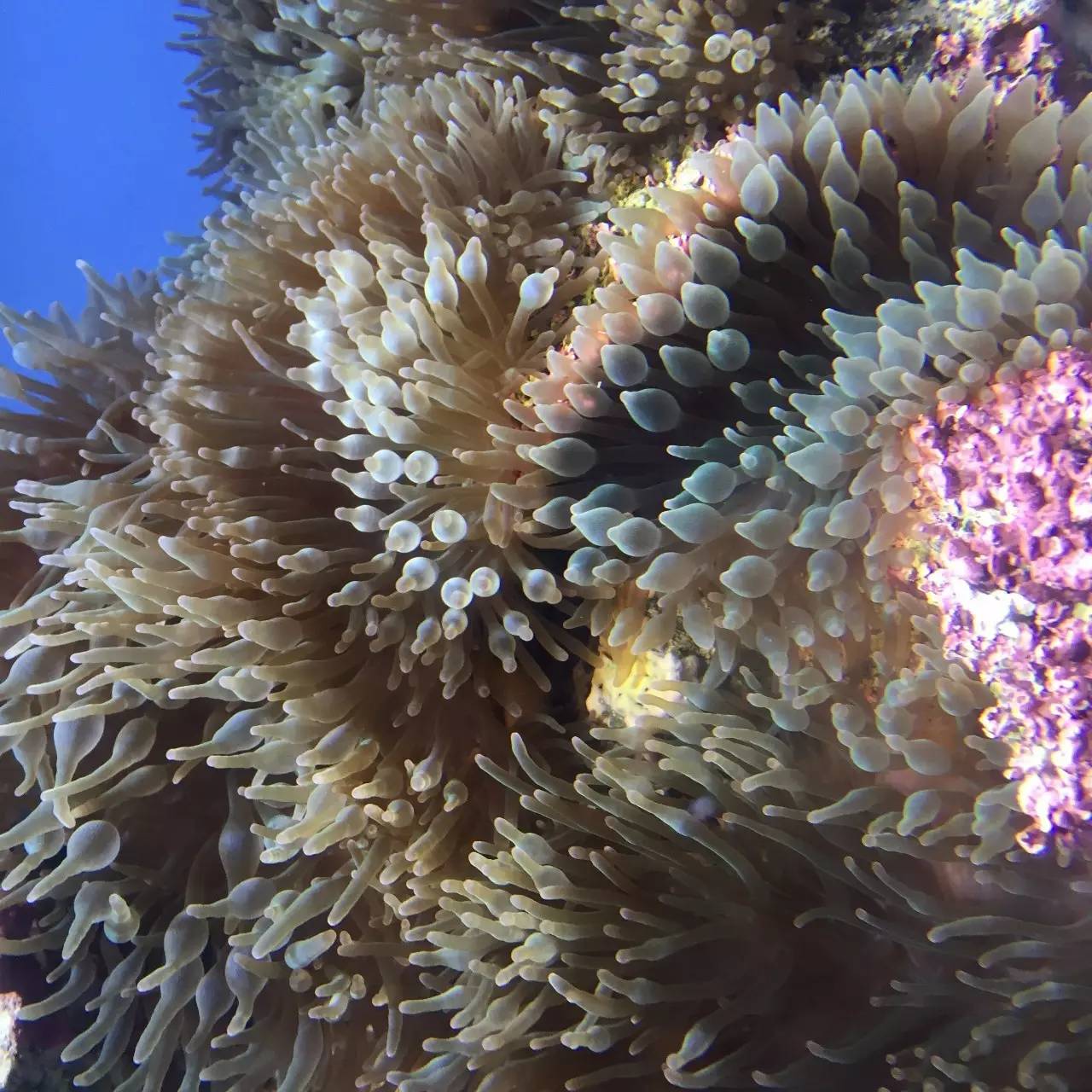 weekendescape,weekendescape什么意思