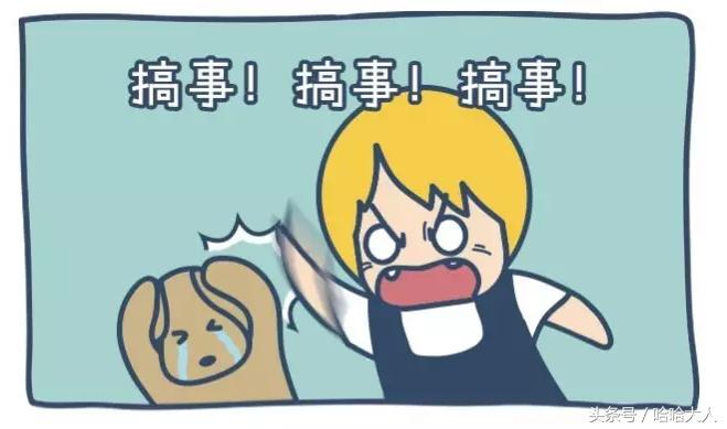 狗狗撕家怎么管教,狗狗撕家视频