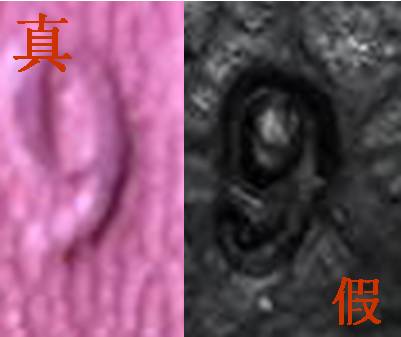 gucci閴村疂,閴村畾鐪熷亣gucci