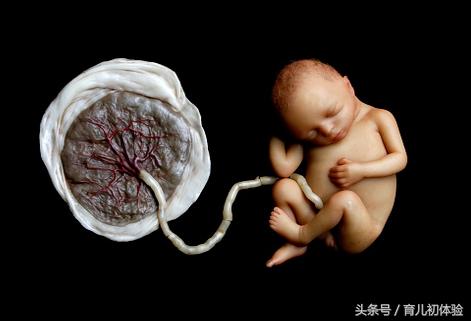 胎盘几级说明快要生了,胎盘几级说明快生了