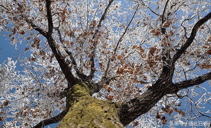 通化配音,吉林省通化市配音