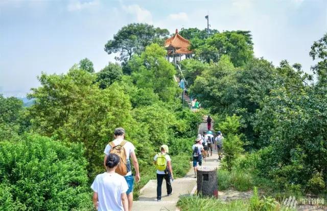 白云山徒步全过程,白云山夜爬日出攻略徒步路线