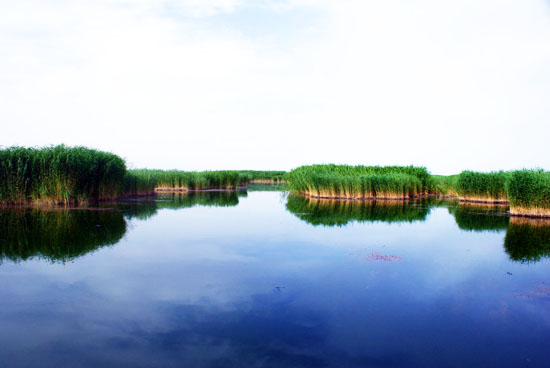 梨城库尔勒介绍,梨城库尔勒市