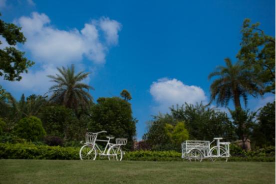 十年记｜纳帕溪谷·时间的故事