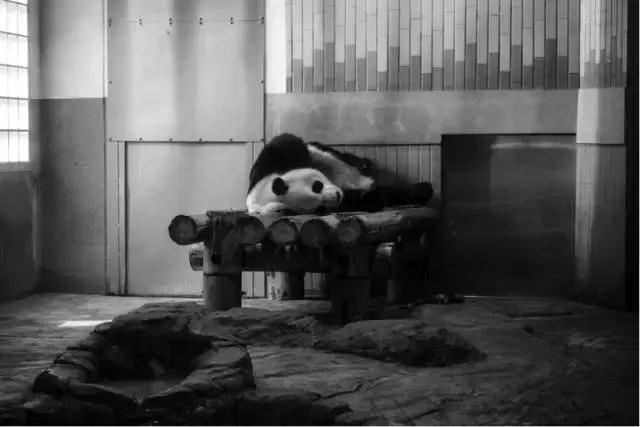 东京旅游一定要去的10个地方,去东京旅游有什么好玩的地方