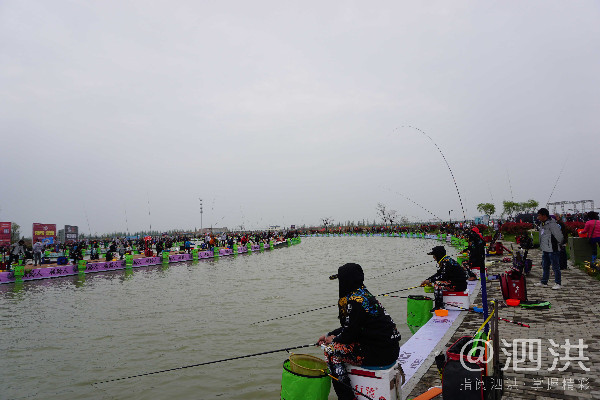 泗洪洪泽湖国际垂钓大赛开幕,泗洪洪泽湖大圆塘休闲垂钓邀请赛