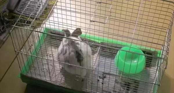 对于*力暴**冷血的逼债人，这是世界上最残忍最虐心的惩罚