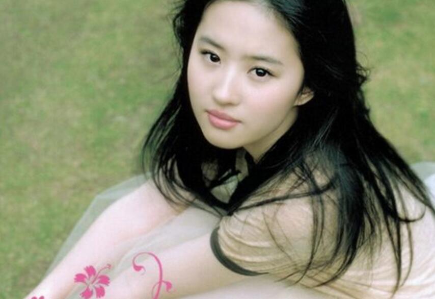 陈坤舒畅刘亦菲,陈坤舒畅