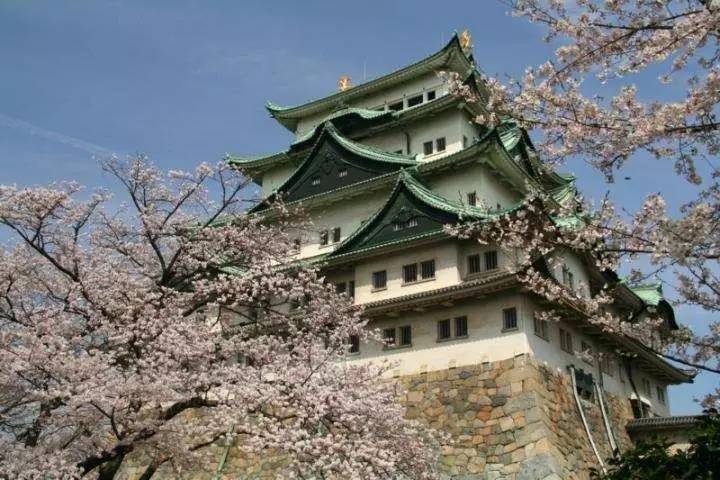 救命！好像周围所有东西都变成friends了！