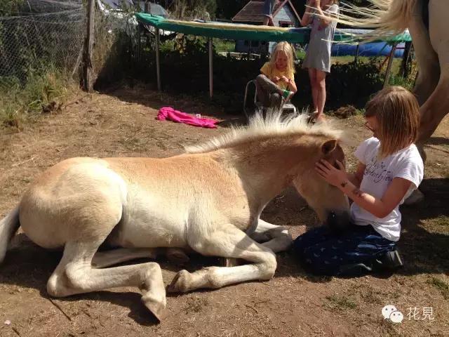 当90后都在为生活奔波还房贷，她却选择去法国农场铲马粪