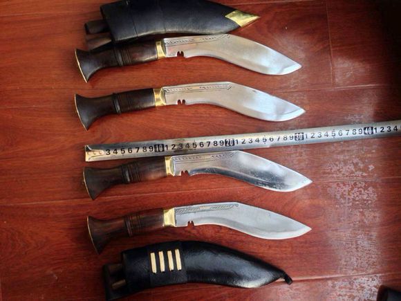 尼泊尔特产水果有哪些品种 (尼泊尔特产核桃有哪些品种)