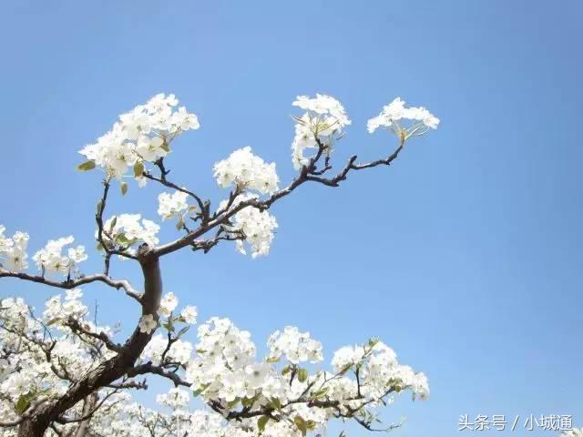 一封告白书范文,一封表白失败情书