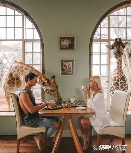 藏族纯天然Angelababy竟然美过本尊？