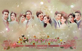 一入泰圈深似海,一入泰圈深似海解说