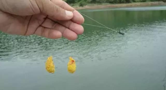 路亚竿滑漂钓鲫鱼的正确调漂方法,加粗尾野钓调漂的正确方法与技巧