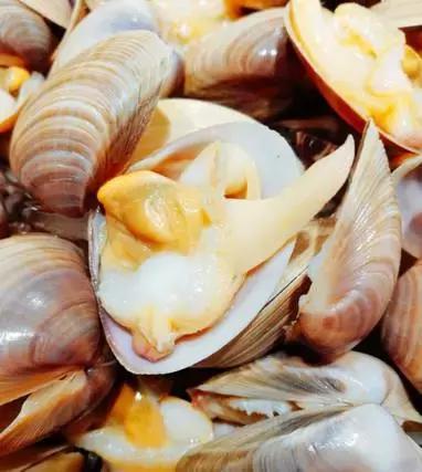 南粤动态｜周末就是复活节了，快到樟木头三正半山酒店来狂欢吧！