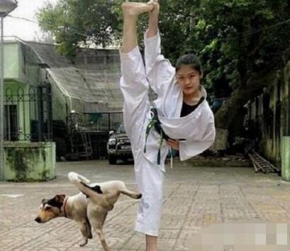 搞笑gif笑到爆笑话,搞笑gif笑死我了