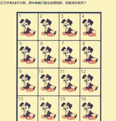 蒲公英不是晒干就能喝,真正的蒲公英可以吃吗