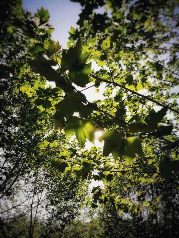 马龙高峰机械厂老照片,马龙区高峰机械厂旧址
