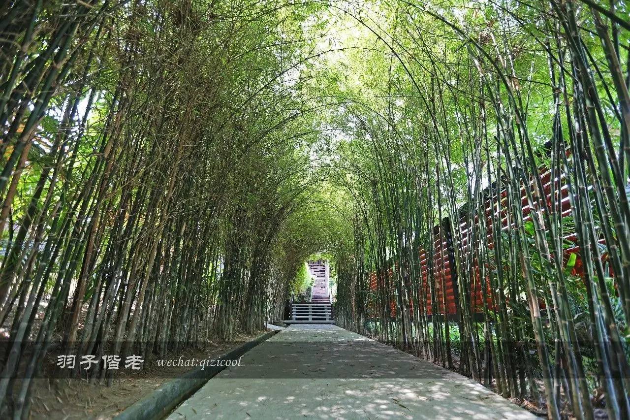 苏梅岛自由行酒店如何预订,苏梅岛五星住宿攻略