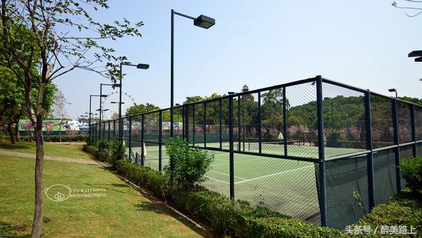 观澜湖空中墅设计图,观澜湖实景演艺