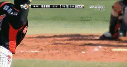 蒲公英不是晒干就能喝,真正的蒲公英可以吃吗