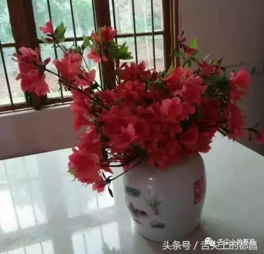 农村人最喜欢的野花，城里人羡慕不已