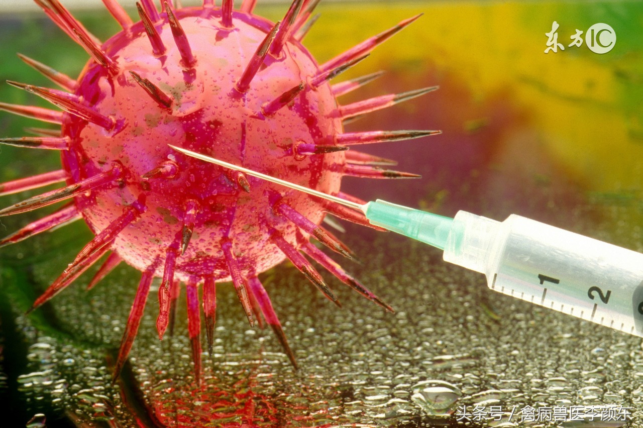 养鸡防治知识大全,养鸡治疗方案大全