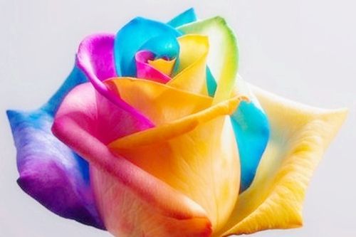 职场怎么防止小人暗算自己,职场中怎样防止小人陷害