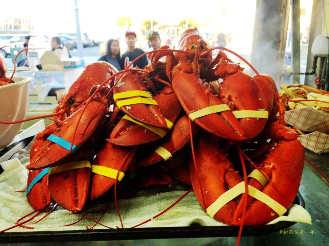 心在路上中文版,心在路上完整版教程