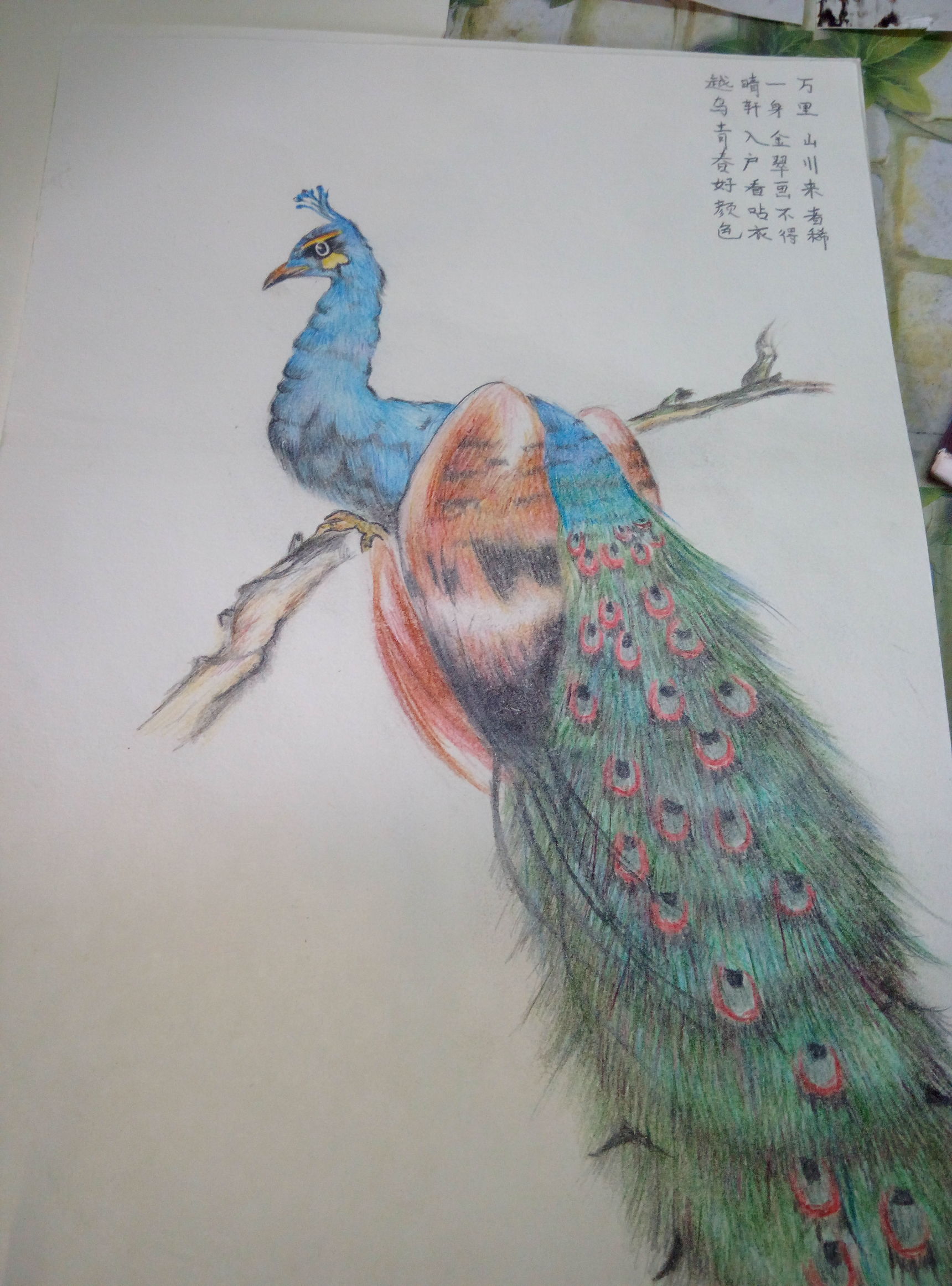 温大瓯江学院阳光理工男爱画宫女，作品走红朋友圈