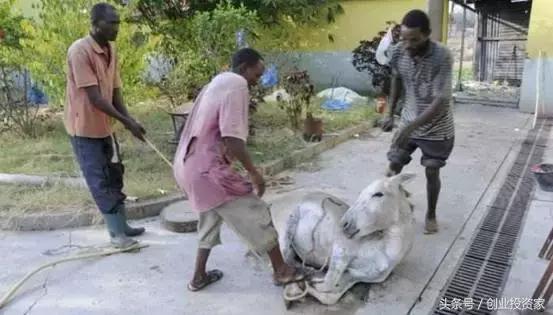 比房价涨幅还好的东西,比房价涨的还快的东西